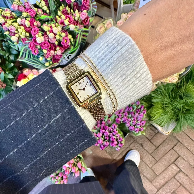 OROLOGIO CLUSE CW15506 GRACIEUSE MINI