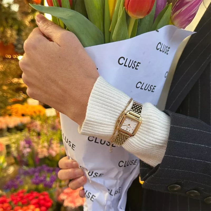 OROLOGIO CLUSE CW15506 GRACIEUSE MINI
